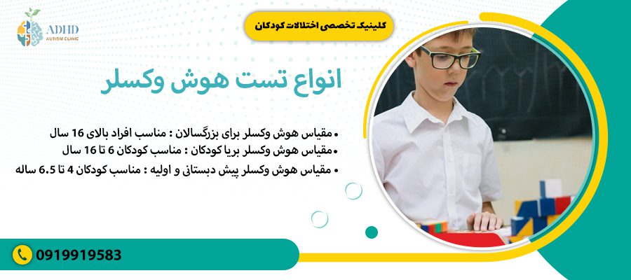 انواع تست هوش وکسلر